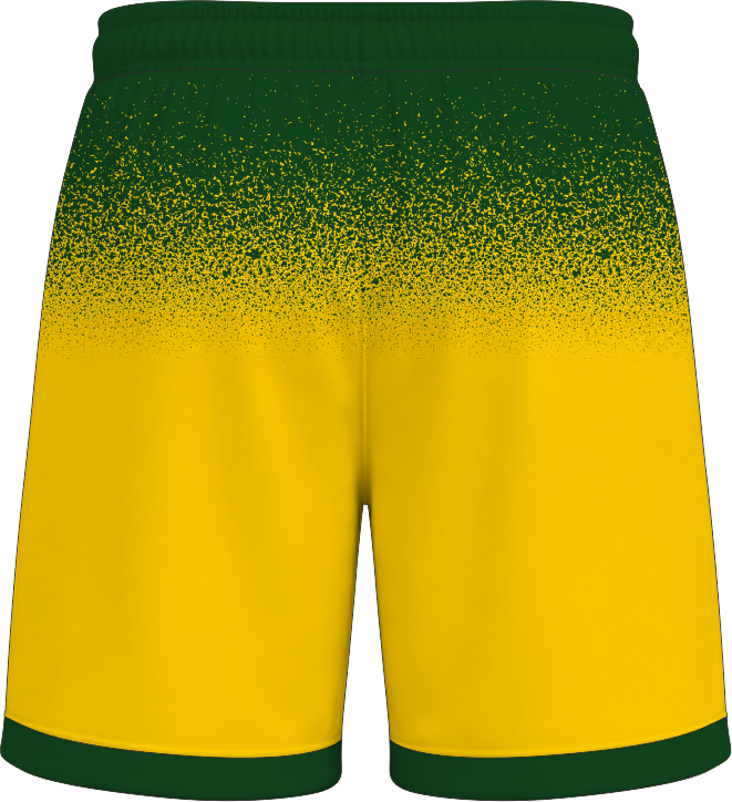 COLLEGIATE CUT SHORTS B 1 BACK